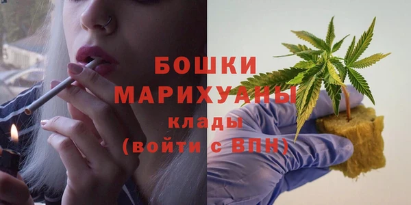 сатива Зеленодольск