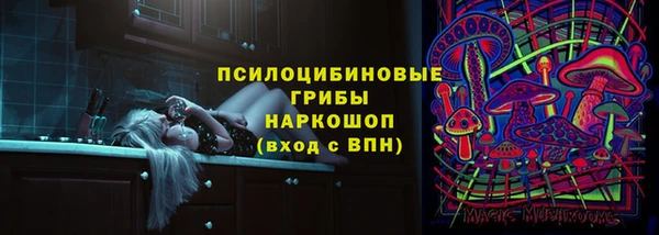 сатива Зеленодольск