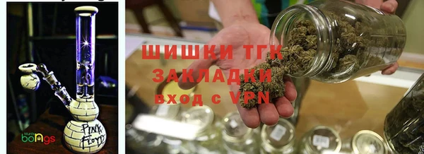 сатива Зеленодольск