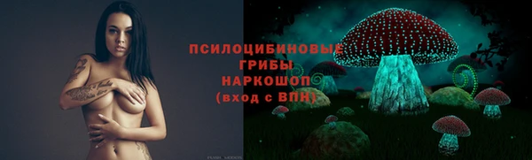 сатива Зеленодольск
