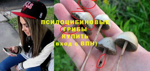 сатива Зеленодольск