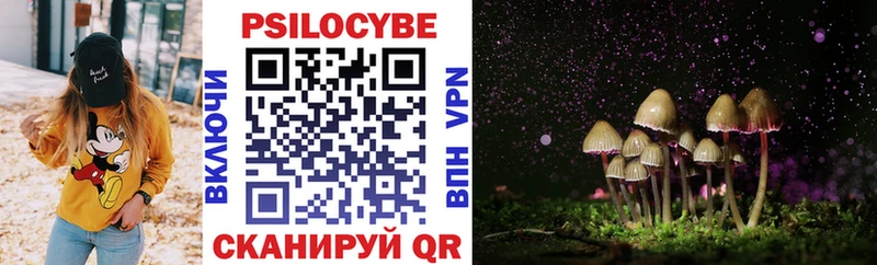 Галлюциногенные грибы прущие грибы  Купить  Полесск 